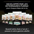 Pro Plan Kitten 1-12 mois HEALTHY START Poulet 3kg