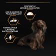 PRO PLAN Chien Small&Mini Adult Sensitive Skin Saumon 3KG