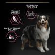 PRO PLAN Chien Medium Adult Sensitive Skin Saumon 14KG