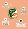 PÂTÉE RICHE EN VOLAILLE ET AUX PETITS POIS POUR CHIEN ADULTE - 300 G