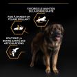 PRO PLAN Chien Large Adult Robust Everyday Nutrition Poulet 14KG