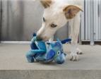 Kong® Jouet Knots Plusieurs couleurs Dragon
