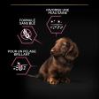 PRO PLAN Chien Small&Mini Puppy Sensitive Skin Saumon 3KG