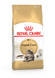 ROYAL CANIN MAINE COON ADULT CHAT A PARTIR DE 15 MOIS 10KG