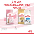 ROYAL CANIN KITTEN STERILISED CHATON STERILISE DE 6 A 12 MOIS 3,5KG