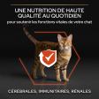Pro Plan Adult Vital Functions Saumon 3kg