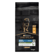PRO PLAN Chien Large Robust Puppy Healthy Start Poulet 12KG