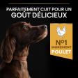 PRO PLAN Chien Large Adulte Athletic Everyday Nutrition Poulet 14KG