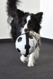 Jouet Matchball Ballon de football avec corde Blanc et Noir 22cm