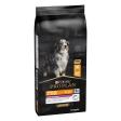 PRO PLAN Chien Medium&Large Adult 7+ Age Defence Poulet 14KG