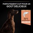 PRO PLAN Chien Large Adult Athletic Sensitive Skin Saumon 14KG