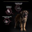 PRO PLAN Chien Large Adult Robust Sensitive Skin Saumon 14KG