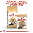 ROYAL CANIN PERSIAN ADULT PERSAN A PARTIR DE 12 MOIS 4KG