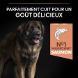 PRO PLAN Chien Large Adult Robust Sensitive Skin Saumon 14KG