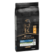 PRO PLAN Chien Large Robust Puppy Healthy Start Poulet 12KG