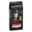 PRO PLAN Chien Medium Adult Everyday Nutrition Poulet 14KG