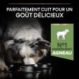 PRO PLAN Chien Medium Adult Sensitive Digestion Agneau 14KG