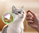 DENTALIFE Chat Friandises Saumon 40g