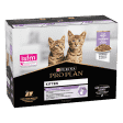 PRO PLAN Kitten HEALTHY START Dinde Sauce Pochons 10x85g