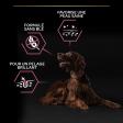 PRO PLAN Chien Large Adult Athletic Sensitive Skin Saumon 14KG