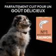 PRO PLAN Chien Medium Puppy Sensitive Skin Saumon 12KG