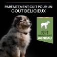 PRO PLAN Chien Medium Puppy Sensitive Digestion Agneau 3KG