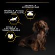 PRO PLAN Chien Small&Mini Adult Light Sterilised Poulet 3KG