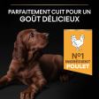 PRO PLAN Chien Large Puppy Athletic Healthy Start Poulet 12KG