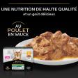 PRO PLAN Adult STERILISED MAINTENANCE Poulet Sauce 10x85g