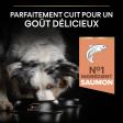 PRO PLAN Chien Medium Adult Sensitive Skin Saumon 14KG