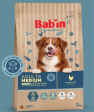 BAB’IN SIGNATURE ADULTE MEDIUM CÉRÉALES ANCESTRALES 3KG