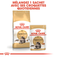 ROYAL CANIN MAINE COON ADULT CHAT A PARTIR DE 15 MOIS 10KG