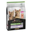 PRO PLAN Sterilised Kitten HEALTHY START Saumon 3kg