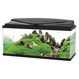 Aquarium 80 CIANO