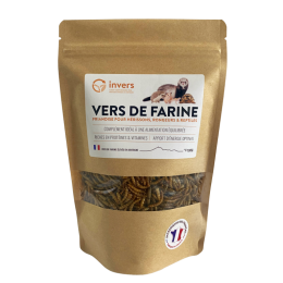 VERS DE FARINE POUR Rongeurs, Reptiles, Hérissons 100G