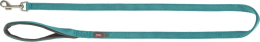 Premium laisse, L–XL: 1,00 m/25 mm, aqua