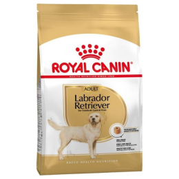 ROYAL CANIN LABRADOR ADULT CHIEN PLUS DE 15 MOIS 12KG