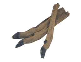 Patte de chevreuil avec poils vrac