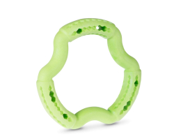 Jouet chien TPR anneau Green Apple 21cm