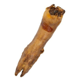 BUBIMEX PIED DE PORC XL POUR CHIEN 