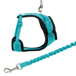 Harnais Y en maille, chat, avec laisse élastique, 39–60 cm/10 mm, 1,00 m, divers