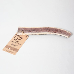 TOBY  BOIS DE CERF TRANCHE TAILLE L