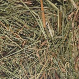 Friandises Foin de montagne  Ortie