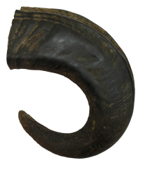 Corne de buffle L 320g Bubimex