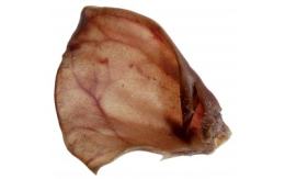 Oreilles de porc, qualité A