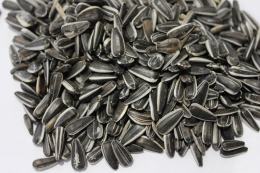 Tournesol strié 10kg