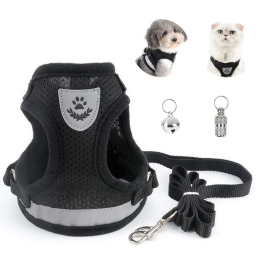 PACK CHAT HARNAIS MIN+LAISSE NOIR XS