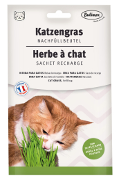 Recharge herbe à chat 100g Bubimex