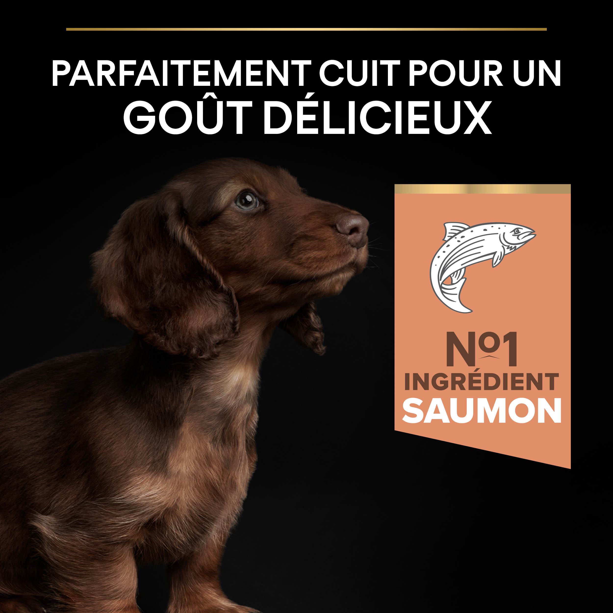 PRO PLAN Chien Small&Mini Puppy Sensitive Skin Saumon 3KG