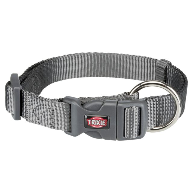 Premium collier, M–L: 35–55 cm/20 mm, gris graphite